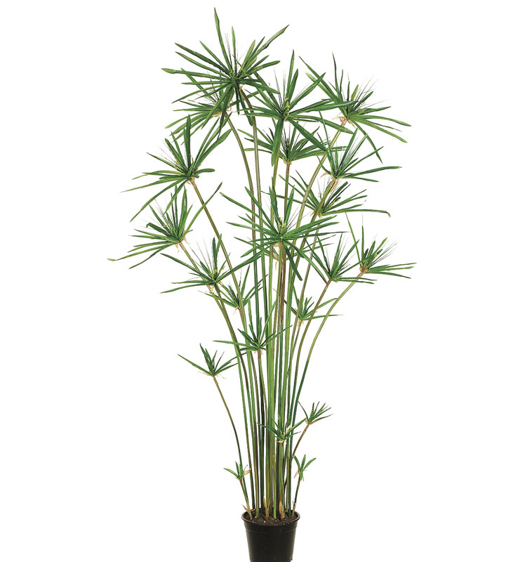 72'' Faux Cypress Tree in Planter