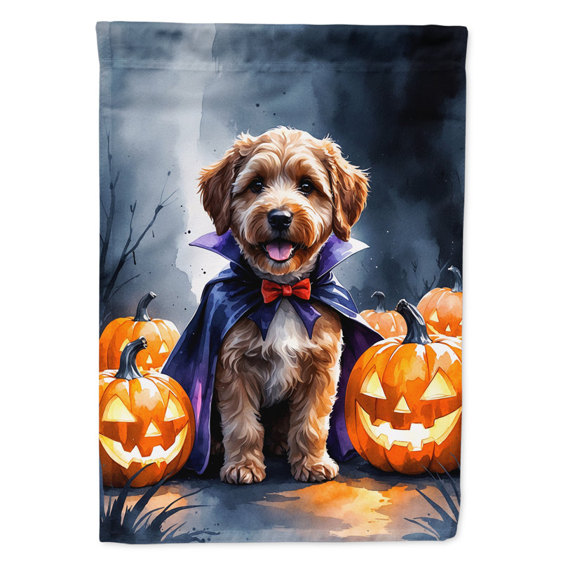 Drapeau de jardin chiot Halloween, Chocolat Labradoodle