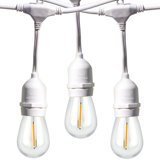 Burroughs  48' Outdoor 15 - Bulb Standard String Light