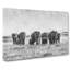 Herd Of Elephants Roaming - Wrapped Canvas-56629763