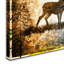 « high country cerf », reproduction d’impression sur toile tendue-21937202