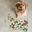 Tapis d'alimentation en forme d'os 1 pièce Strawberry Florals