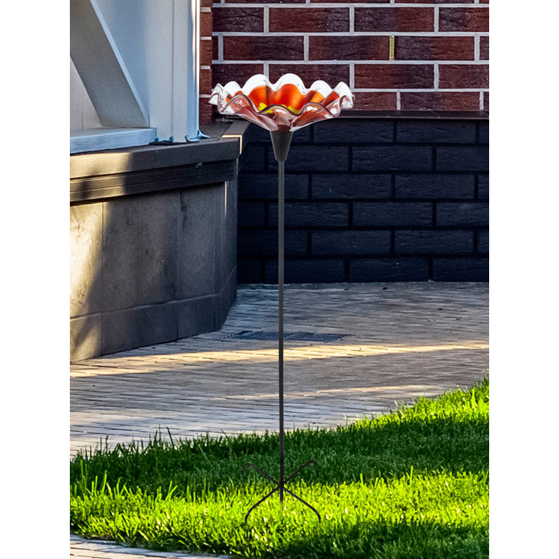 Bain d'oiseaux en verre soufflé à la main Allisan Bloom, Rouge