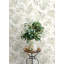 Frith Green Botanical Wallpaper-2116668708