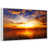 Floating Frame White
