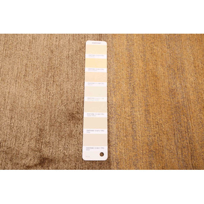 Opulence Brown, Khaki Rug 6'0" x 8'9"