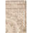 Amedee Performance Oriental Indoor/Outdoor Area Rug-1627818413