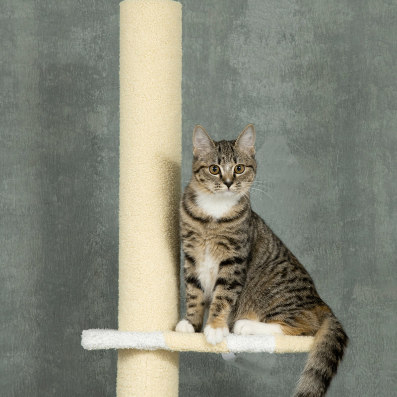 Tour d'activité pour chats, du sol au plafond, réglable de 87 à 103 pouces, plateformes, poteaux à griffer, jaune pour 4 chats d'intérieur