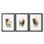 «Rustic Bull II», impression encadrée sur mesure de qualité supérieure mate - 3 pièces-607174408-607174411