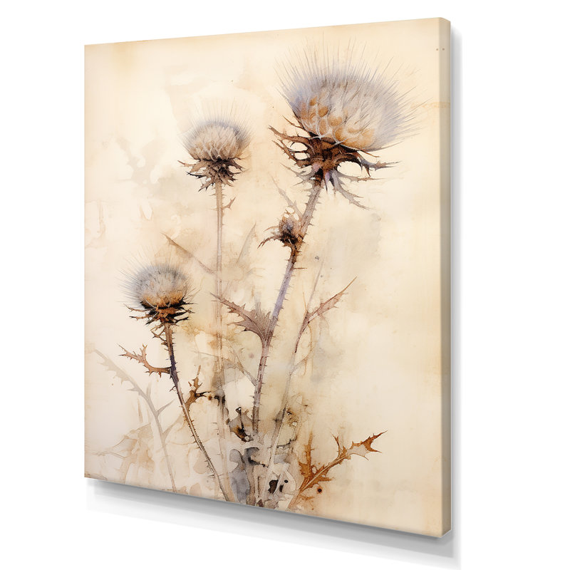 Fleur de chardon beige en sourdine - impressions sur toile chardon, H 40 po x l 30 po, Cadre photo blanc