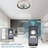 Emmeram 20'' Ultra-Low Profile Ceiling Fan with LED Lights, Remote and App Control