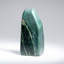 Polished Nephrite Jade Freeform from Pakistan (1.3 Lbs)