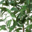 Ruzich 155cm Faux Tree