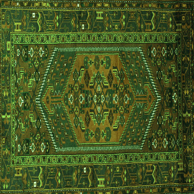 Performance Oriental Indoor Rug