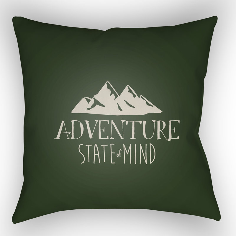 Outdoor Throw Pillow, 20" H x 20" W x 4" D, Brown