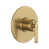 Antique Gold selected