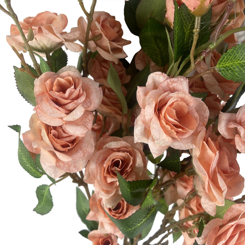 Antiqua Arrangement