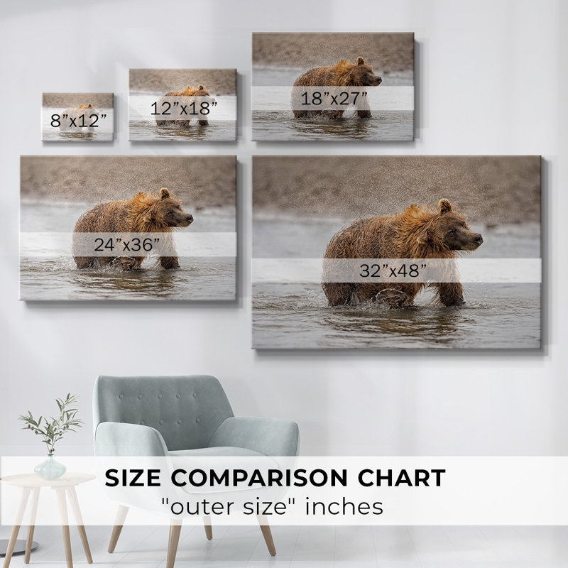 Étude de photographie «Shake it Off», toile tendue, H 24 po x l 36 po