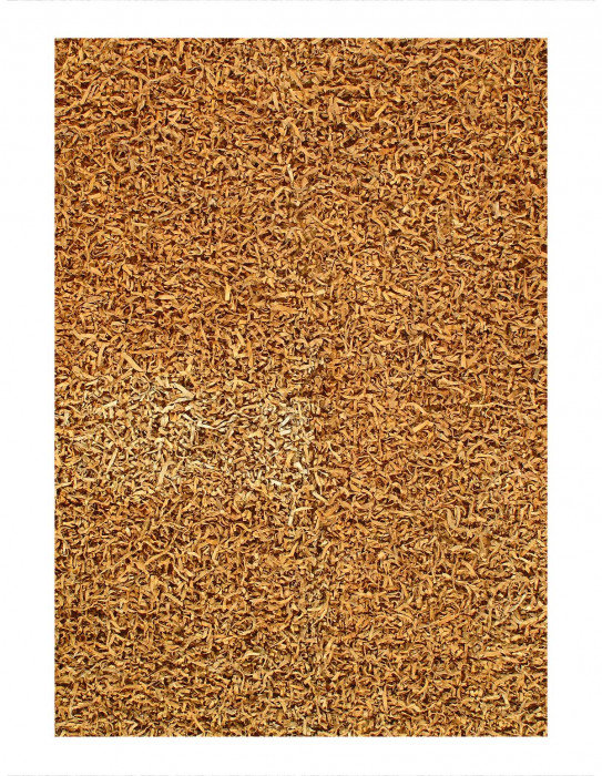 Tapis unique Dewald