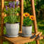 Jardinières d'extérieur modernes avec soucoupe pour la décoration intérieure et le salon - Pot de fleurs d'intérieur texturé pour le patio - ensemble de 2, 6 po, 5 po-231504218-190956391
