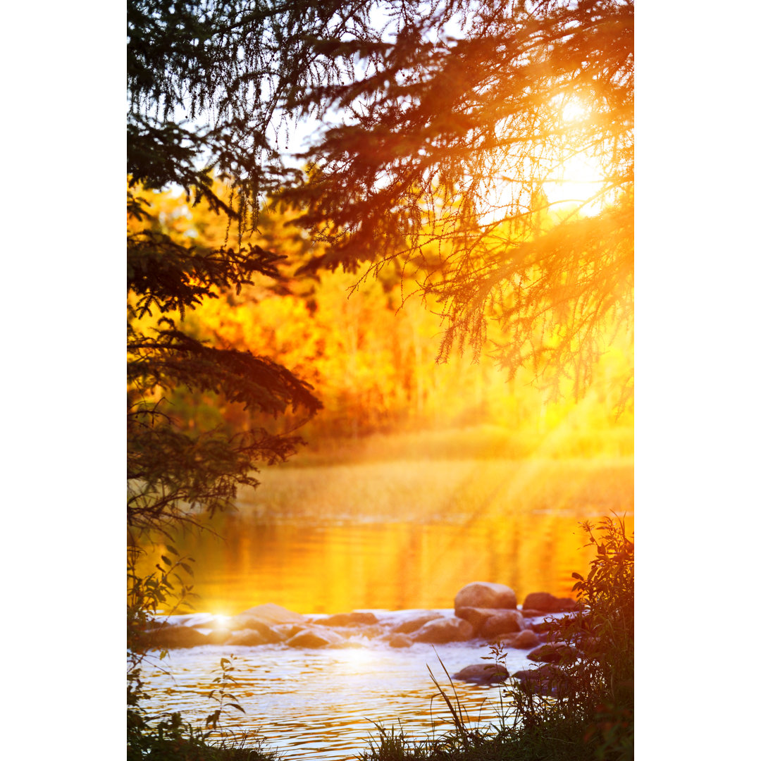 Mississippi River Headwaters von GeorgePeters - Kunstdrucke auf Leinwand