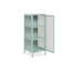 Aumya Steel Modern Storage Unit Accent Chest