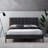 Upholstered Platform Bed-93054721-93054720