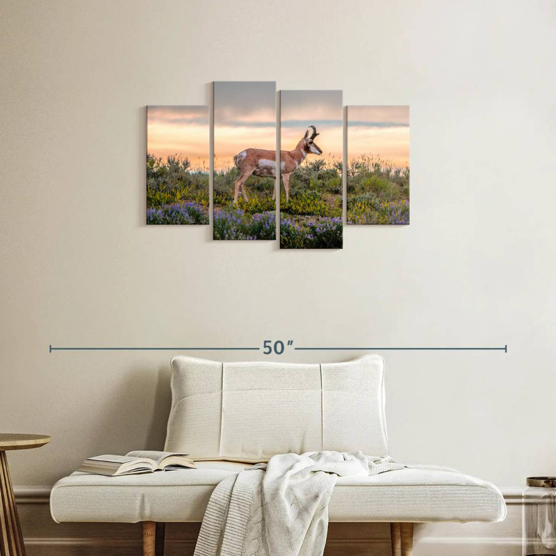 Antilope Brampt, H 22 po x l 36 po