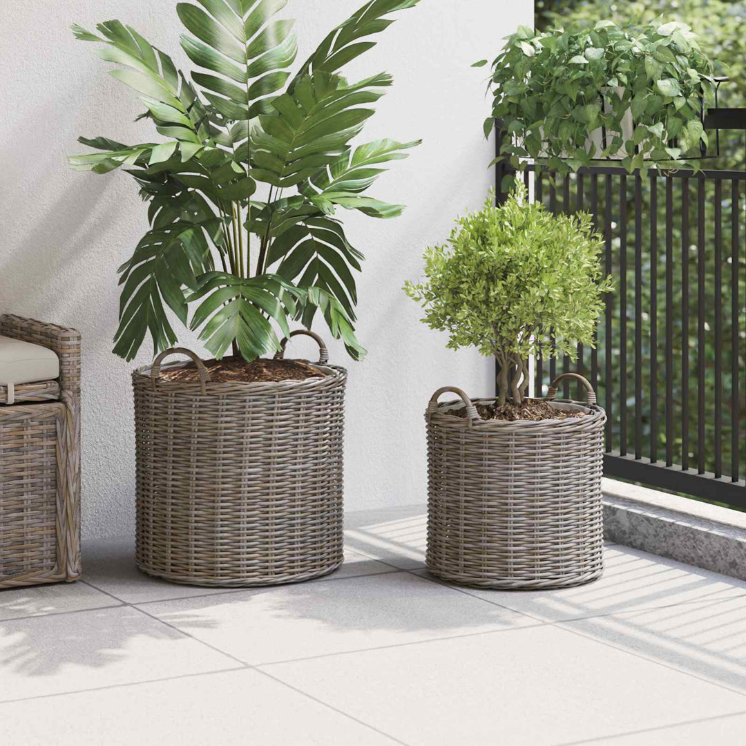 Planter Basket With Storage 2 Pcs Lacak Rattan Decorative Container