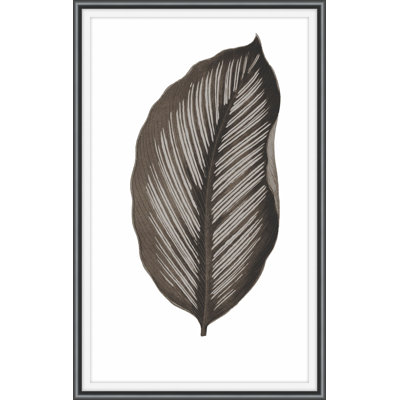 Daily Wish Black 4 Framed Print