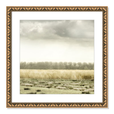 Henri Meadowland by Danita Delimont - Picture Frame Photograph