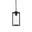 Mickle 6 Inch Outdoor Pendant in Black