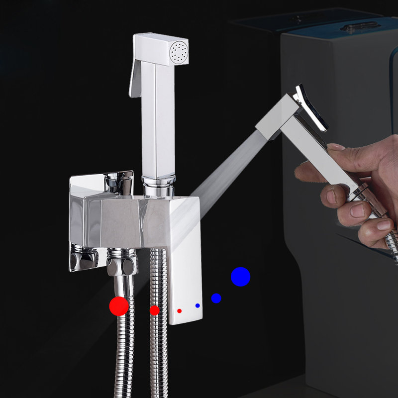 Ahura Single Handle Vertical Spray Bidet Tap