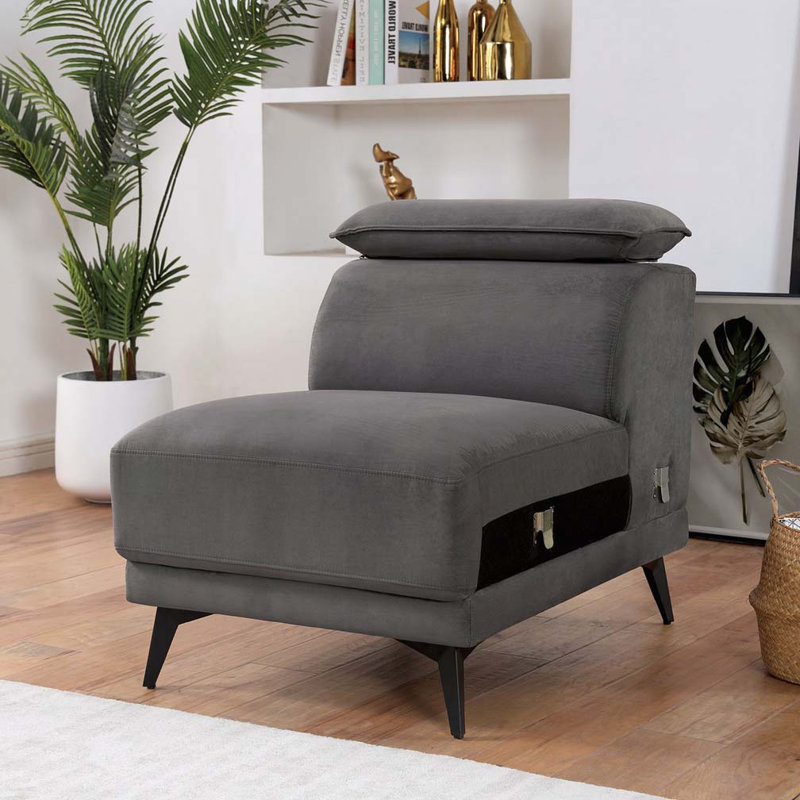 Fauteuil sans accoudoirs avec pieds en acier et coussin de dossier ajustable, Gris foncé
