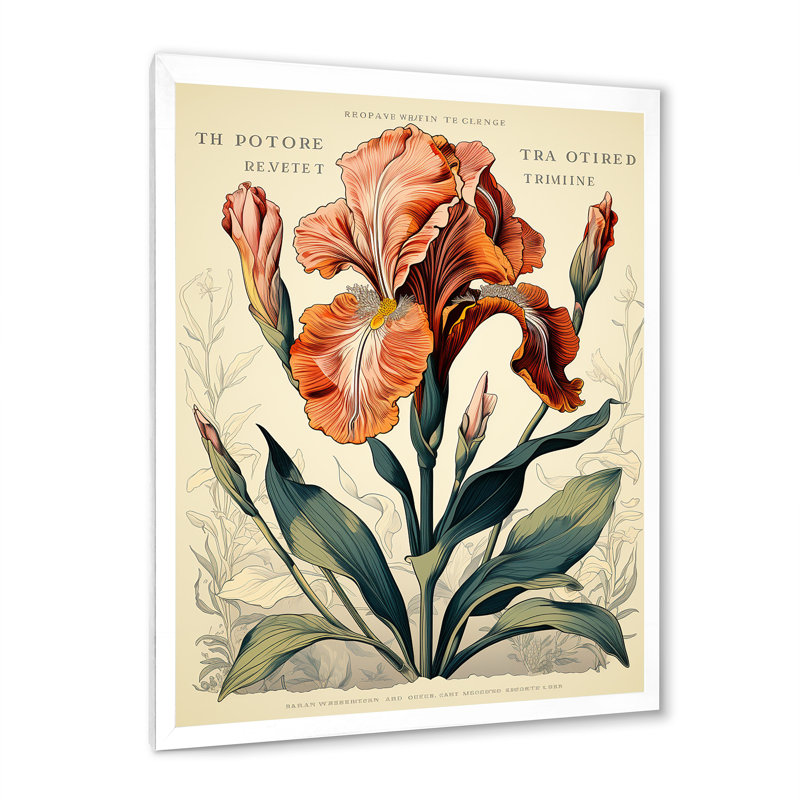 Iris rouge, illustration rétro sur toile, H 44 po x l 34 po x P 1,5 po, Cadre simple blanc