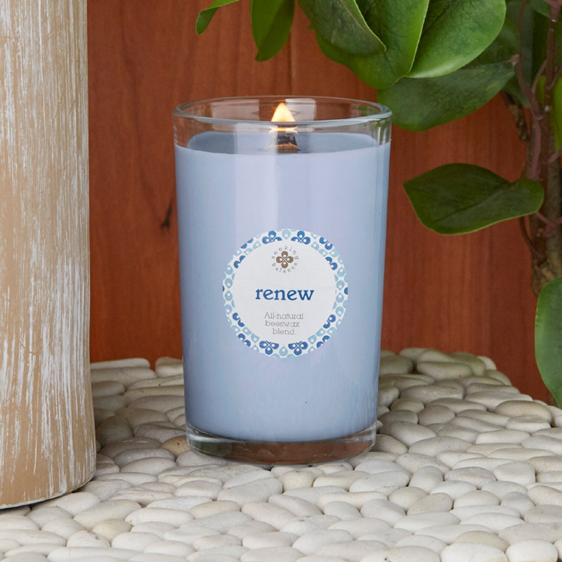Bougie parfumée Renew Seaside Cypress & Cedarleaf, H 4,5 po x l 2,8 po x P 2,8 po