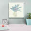 «Plant Eucalyptus IV» par Chris Paschke-6770989