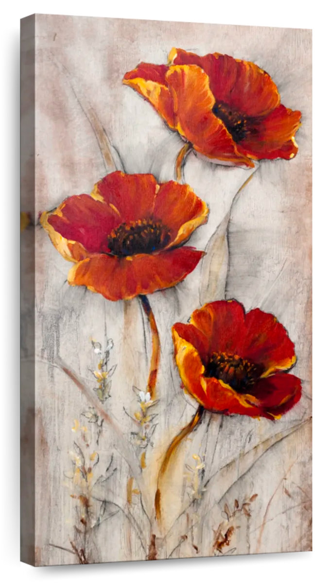 Winston Porter Red Poppies On Taupe II - Wayfair Canada