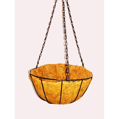 Lithopolis Hanging Planter