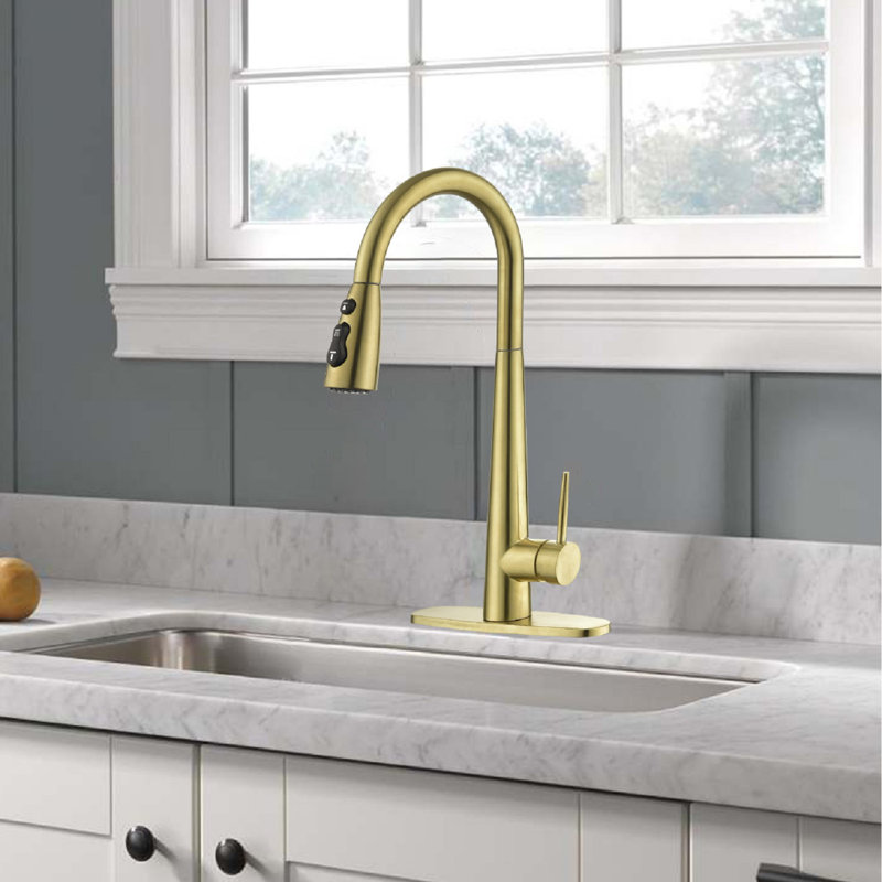 NOVEL Pull Down Kitchen Faucet, Brushed Gold
