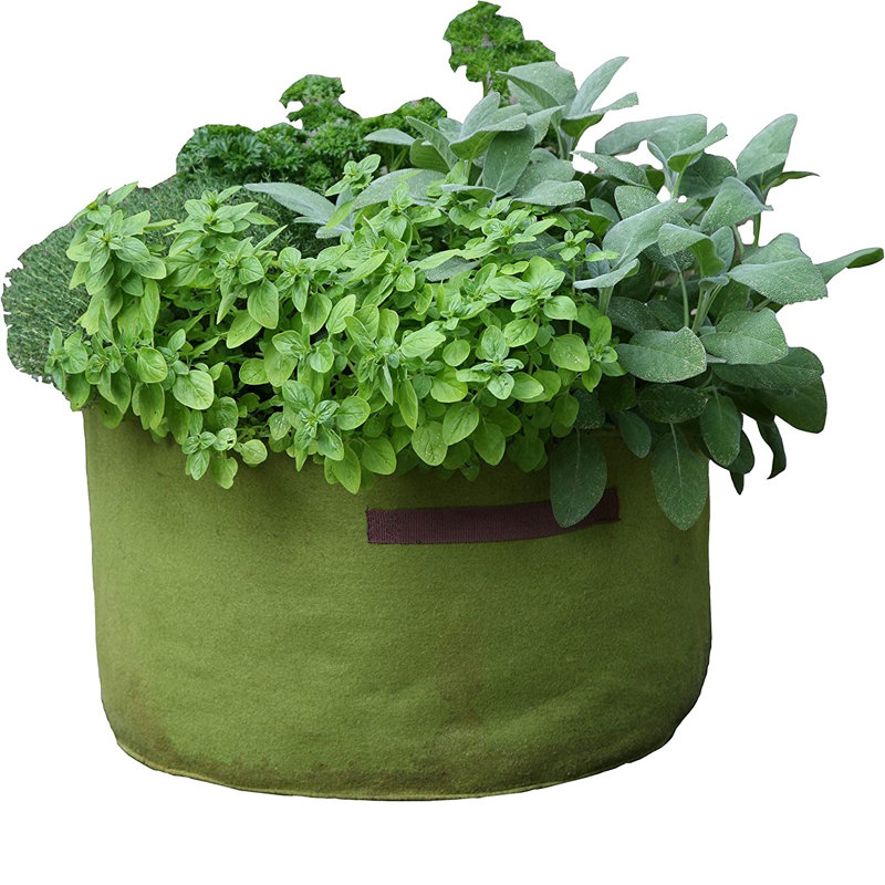 Arionah Pot Planter
