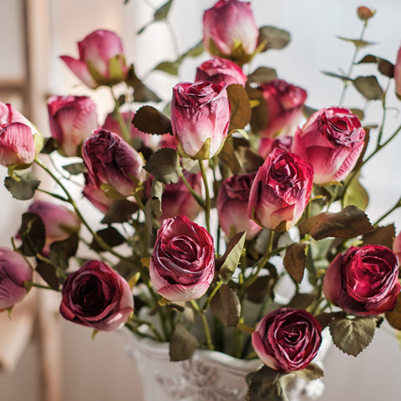 Tige de rose sec, Rose