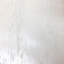 Maxine Age 18' L x 29" W Paintable Wallpaper Roll-125040569-67986491