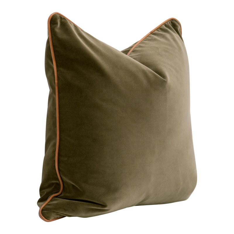 Kaidee Velvet Throw Pillow