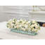 Roses Arrangement in Vase