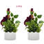 Naytcho Hydrangea Arrangement in Vase