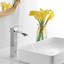 Robinet de salle de bain vasque avec ensemble de drain-72521009