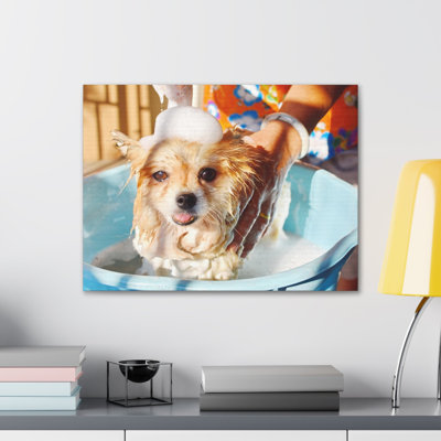 Cute Pomeranian Bathee Canvas Wall Art