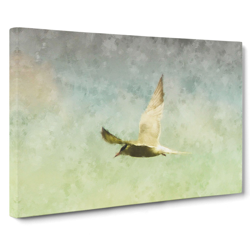Flying Bird - Wrapped Canvas, 50cm H x 76cm W x 3cm D