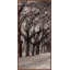 Nature's Arch Triptych A Wall Art & Signage by Lillian August